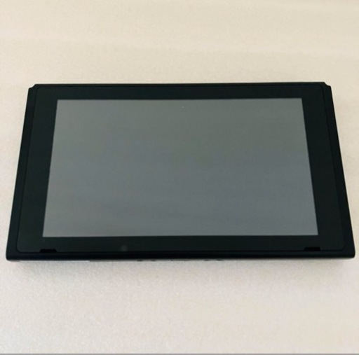 Nintendo  Switch 旧型 本体＋ケーブル、ドッグ