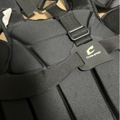【値下】審判用プロテクター【CHAMPRO】の画像