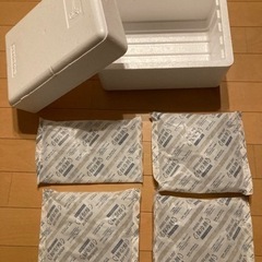 超ジャンボ保冷剤×4 ＋発泡スチロール容器(おまけ)