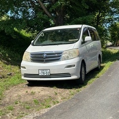 トヨタアルファードG   UA-ANH10W 型式