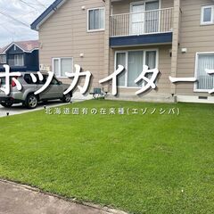 ☆直行直帰！ ☆未経験OK！〜張芝作業スタッフ募集〜 の画像