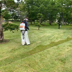 ☆直行直帰！ ☆未経験OK！〜張芝作業スタッフ募集〜 の画像