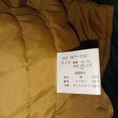 EASYRISE(緑)(ジャンパー)の画像