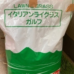 生牧草（イタリアンライグラス）100gの画像