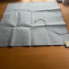 写真に写っているものです。ナショナル制のホットカーペットの画像