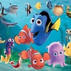 5/11(土)にシュノーケリング行きませんか🐠