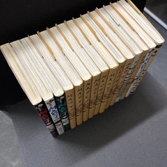 美品　MAO  マオ　高橋留美子　1巻〜15巻　コミックの画像