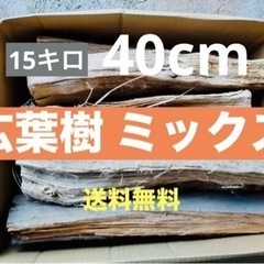 キャンプ薪〈広葉樹mix〉①