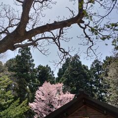 低登山やウォーキング行きませんか