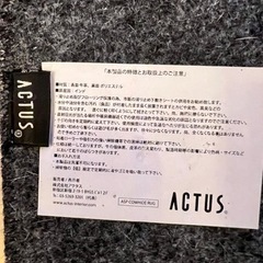 ACTUS 本革ラグの画像