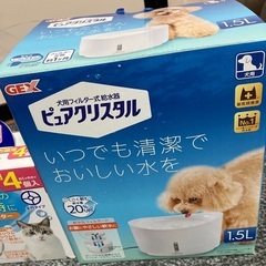 ２月５日購入