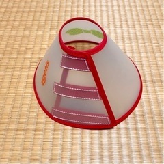ペット用エリザベスカラーの画像