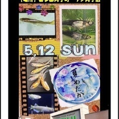 2024年第2回 めだか即売