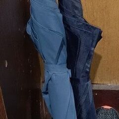 傘　かさ　長傘