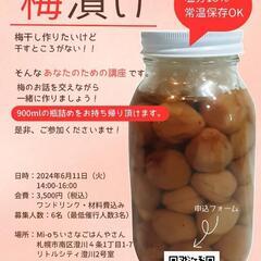 干さない梅仕事「梅漬け」ワークショップ