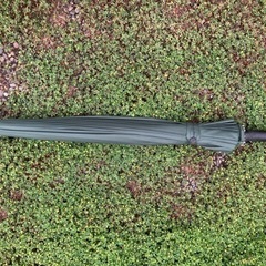 服/ファッション 小物 長傘の画像