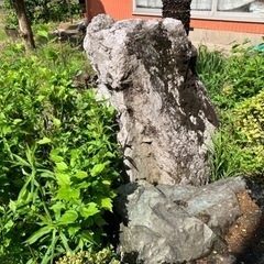 生活雑貨 家庭用品 ガーデニングの画像