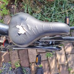<お話し中>訳あり自転車(18日に処分します)の画像