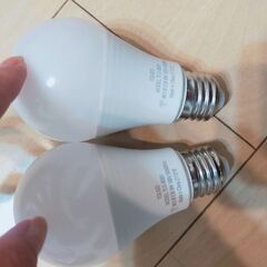 トリゴ　電球　E26×2