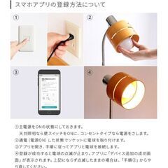 トリゴ　電球　E26×2の画像