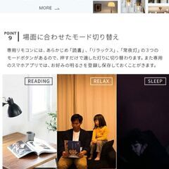 トリゴ　電球　E26×2の画像