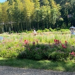 ミュージカルパーク神奈川メンバー募集 - その他