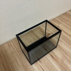 水槽