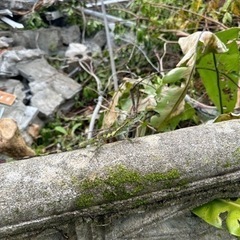 解体業👷‍♂️従業員募集❗️の画像