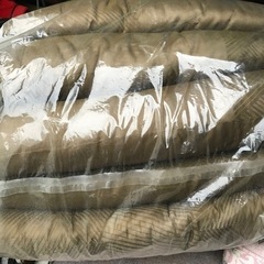 正絹　真綿　　アンティーク座布団の画像