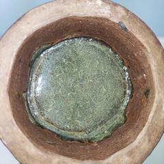 花瓶 花器 一輪挿し 高さ29cm 幅12cmの画像