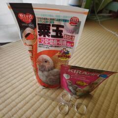 幼鳥飼育セット