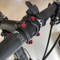 GIANT RX2　　サイズM
の画像