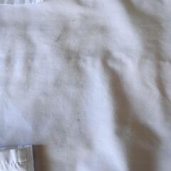 服/ファッション シャツ メンズの画像