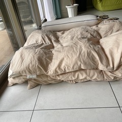 掛け布団（キングサイズ）枕付きの画像