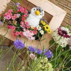 フォトフレーム型のフラワースタンド　生活雑貨 家庭用品 ガーデニングの画像