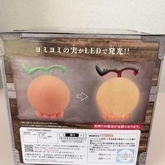 【新品】ヨミヨミの実の画像