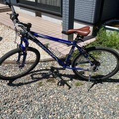 ジャイアントROCK5000