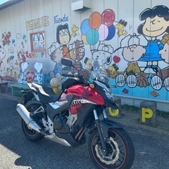明日5/10 走りませんか？