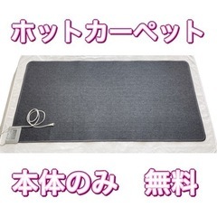 【19時以降なら無人取引可能】ホットカーペット　本体のみ