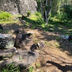 庭石の画像