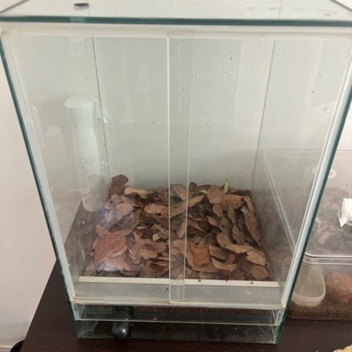 PCP3045 パルダリウムケージプロ3045