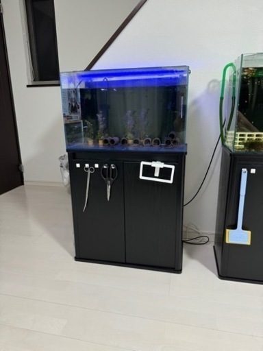 60cm水槽➕水槽台