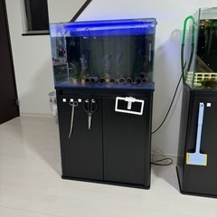 60cm水槽➕水槽台の画像
