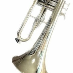 【入手困難】美品  TROMBA フリューゲルホルン(プラスチック製) 輸入品の画像