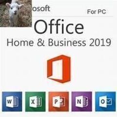 ☆ 【手順書有】 永続版 Microsoft Office Ho...