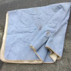 電気カーペット?じゅうたん?(電気の部分と、じゅうたんが別々です)の画像