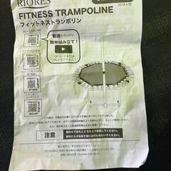 RIORES （リオレス） 手すり付きフィットネストランポリン 耐荷重100kg ゴムバンドタイプ 静音 ダイエット トレーニング フィットネス 大人用 子供用 こどもの画像