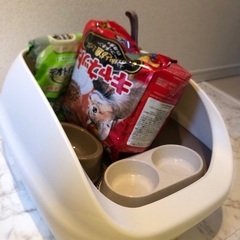 猫用トイレ、エサ、食器の画像