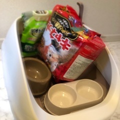 猫用トイレ、エサ、食器の画像