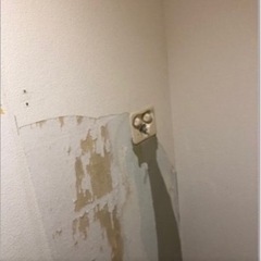 クロス塗装　壁紙塗装　クロスメイク　クッションフロア　CF張り替え　床